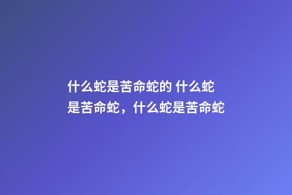 什么蛇是苦命蛇的 什么蛇是苦命蛇，什么蛇是苦命蛇-第1张-观点-玄机派